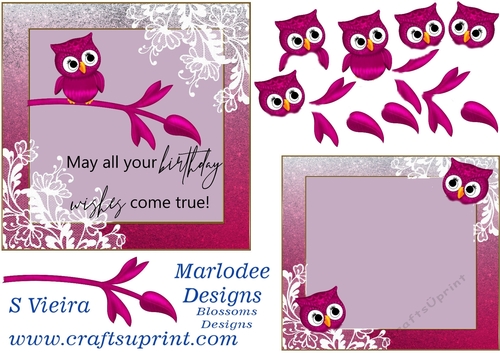 Owl Birthday 4
