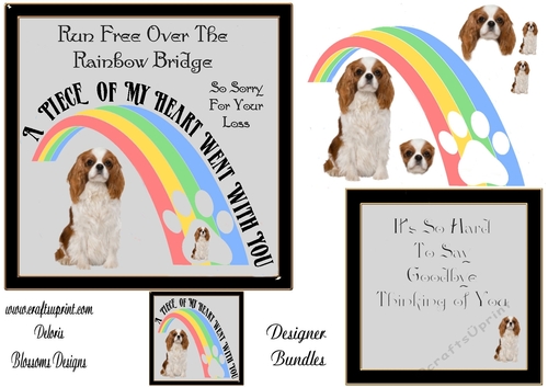 Pet loss over the rainbow bridge King Charles