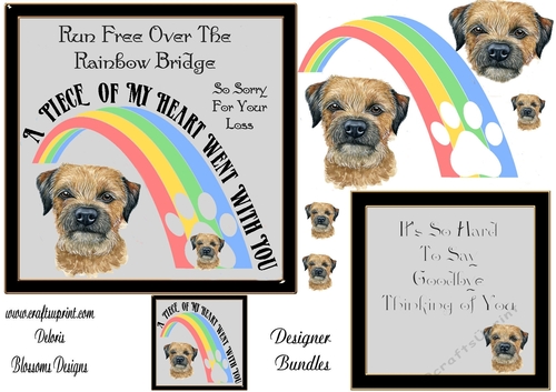 Pet loss over the rainbow bridge Border Terrier