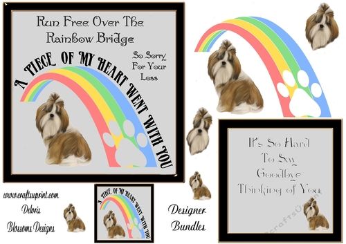 Pet loss over the rainbow bridge Shih Tzu 