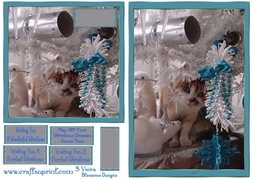 2 Cat Toppers for Christmas