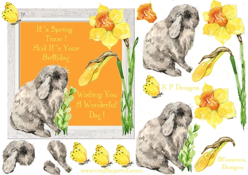 spring birthday Bunny Design 