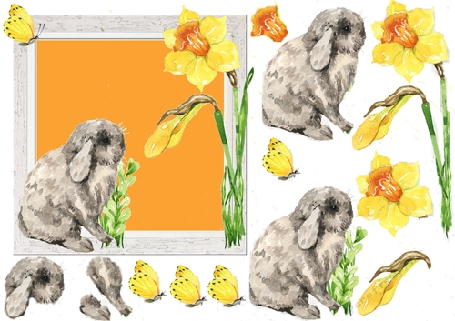 spring birthday, or Easter  Bunny Design Blank