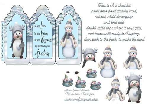 the gift of Christmas kit