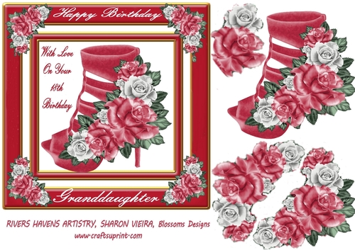 A lovely shoe design 18th Granddaughter
