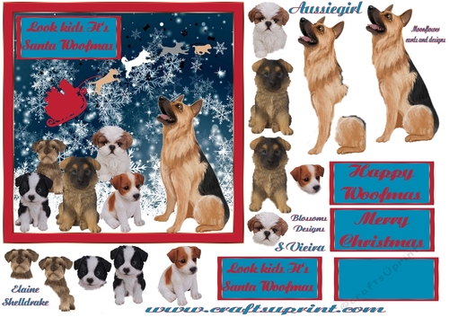Look Kids its Santa woofmas