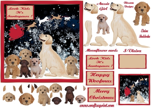 Santa Pawmas 3