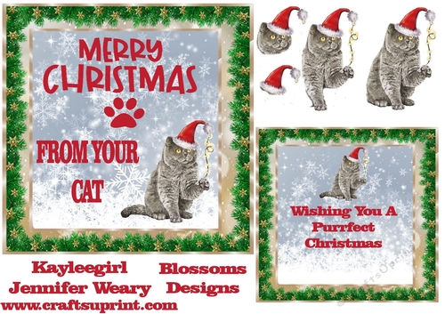 From your cat at Christmas