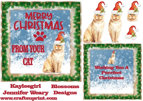 From your cat at Christmas 2