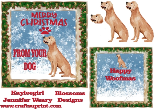 From your dog at Christmas 1