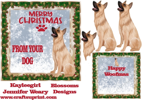 From your dog at Christmas 2
