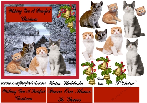 Cats Christmas