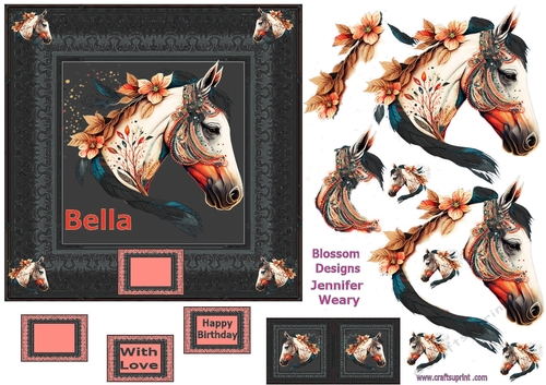 Beautiful horse Bella 2