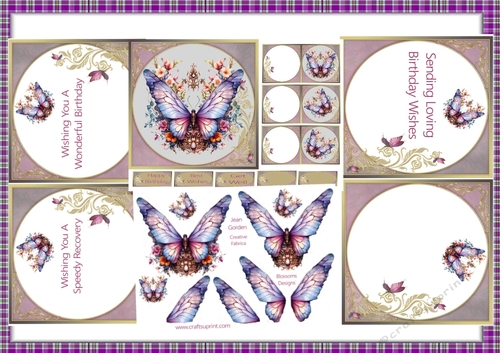Butterfly birthday kit