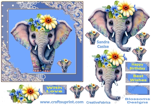 Beautiful birthday design eli3