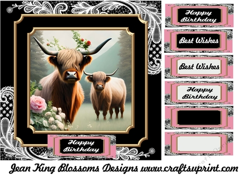 Highland cow birthday