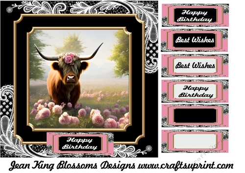 Highland cow birthday