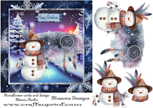 Frosty Snowmad 9