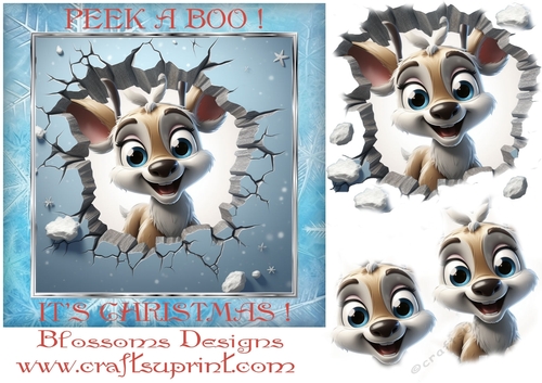 peek a boo Christmas 4