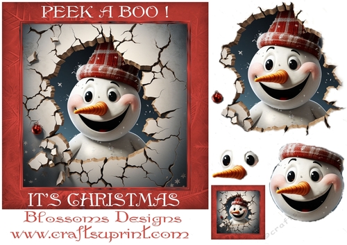 peek a boo Christmas 5