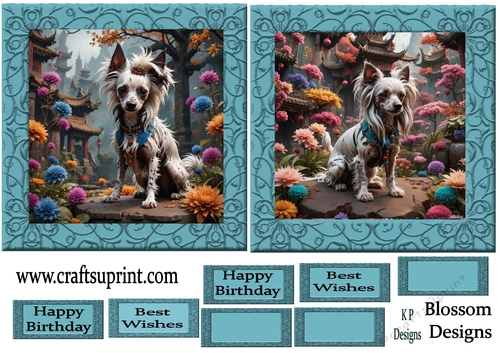 2 Chinese Crested Dog
