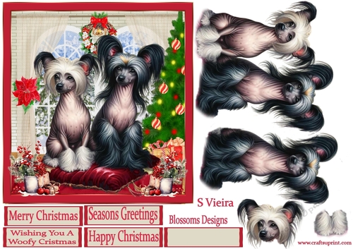 Chinese Crested Dog Christmas