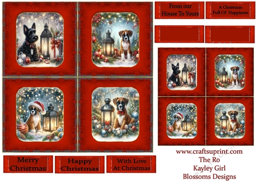 Pups at Christmas 4