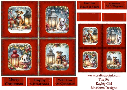 Pups at Christmas 6