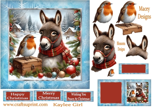 Christmas Donkey and Robin1