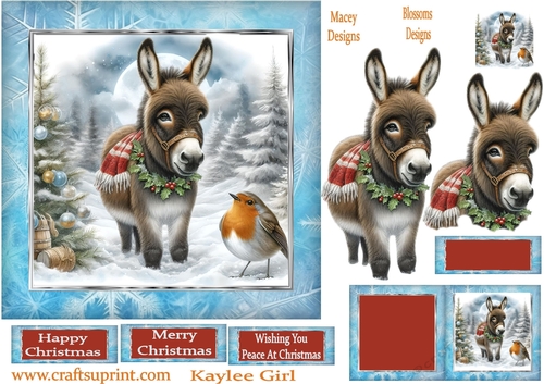 Christmas Donkey and Robin  3
