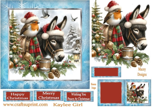 Christmas Donkey and Robin  4