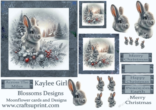 Beautiful Hare Christmas 2