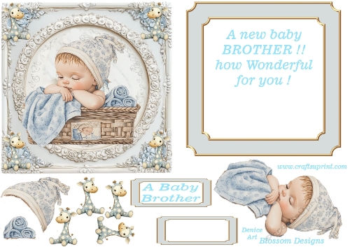 A new Baby Brother