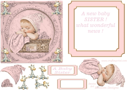 A new Baby Sister