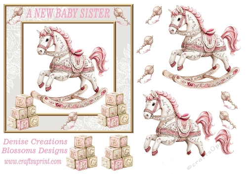 A new Baby Sister 3