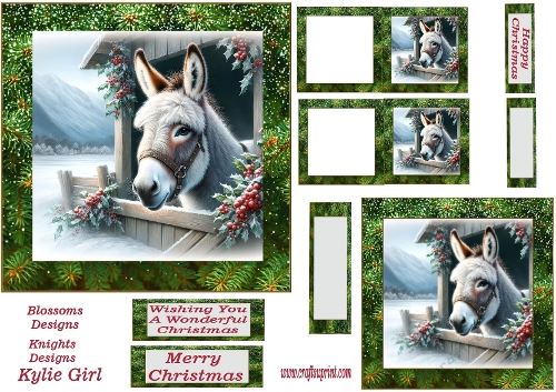 Donkey Christmas 5