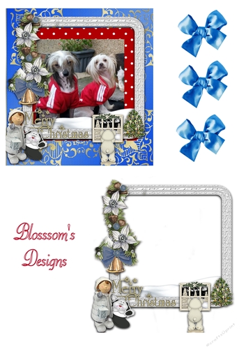 CC DOGS VOODOO AND TIZZY !!