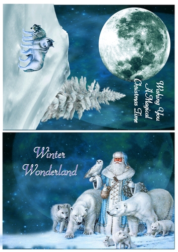 Christmas Wonderland 