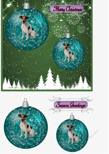 Christmas dogs Jack Russel 