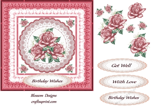 Pink rose birthday or get well