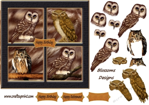 Owl Birthday or Retirement 
