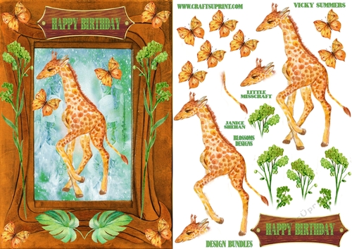 Baby Giraffe 