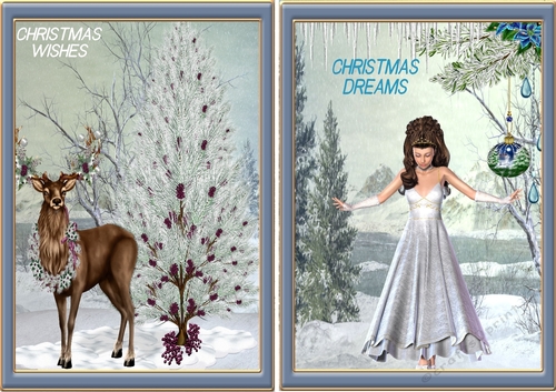 Christmas dreams/ wishes 