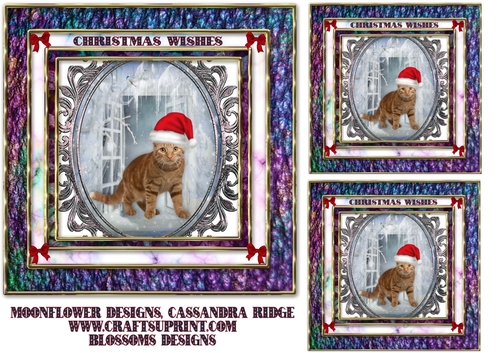 Christmas cat 1