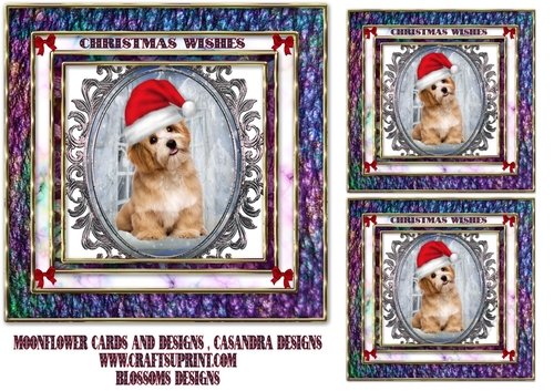 Christmas dog 1