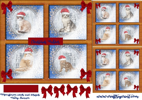 A cute Christmas cat card
