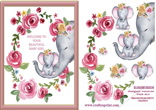 Welcome baby girl