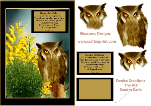Owl and Flowers birthday design