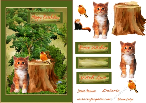 Woodland cat Birthday