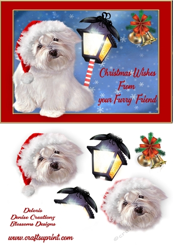 Merry Christmas from your furry friend
